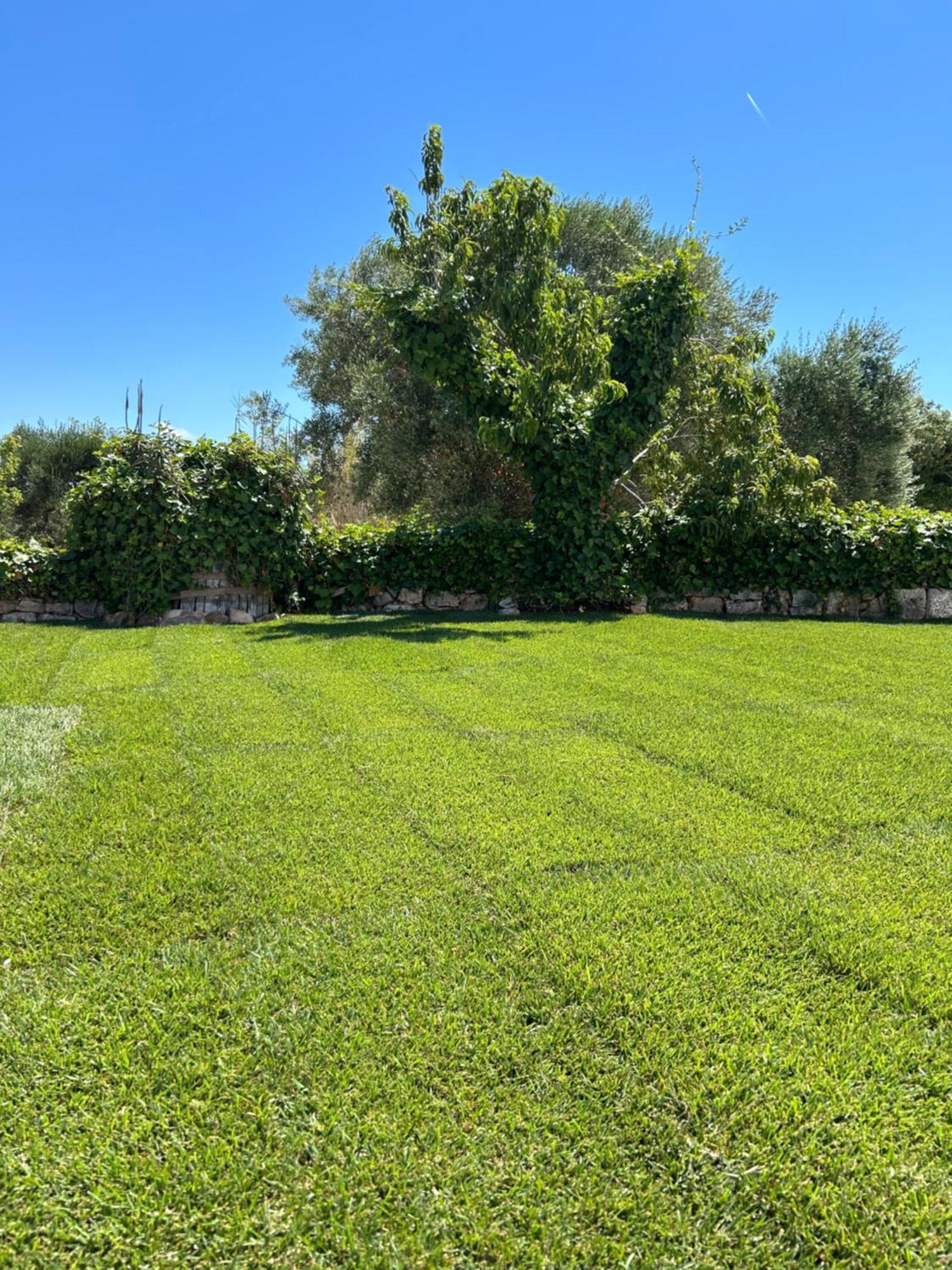 Trulli In Contrada - Monopoli Pensionat Exteriör bild